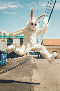 bunny kenny-eliason-IF8B82QBCkM-unsplash